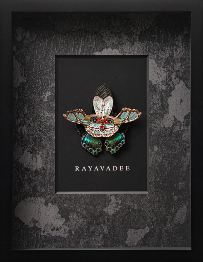 RAYAVADEE-0