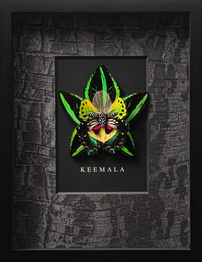 KEEMALA-0