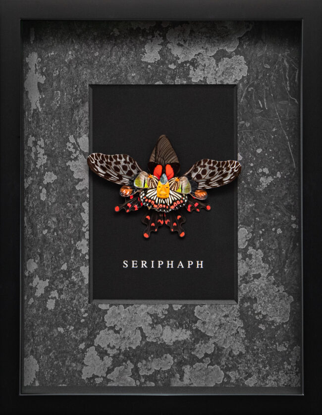 SERIPHAPH-0