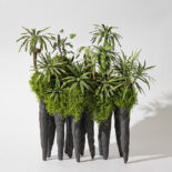 PAPER RINFOREST # 1-2