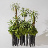PAPER RINFOREST # 1-3