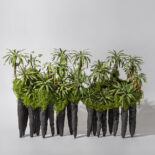 PAPER RINFOREST # 1-7
