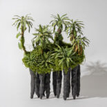 PAPER RINFOREST # 1-8