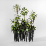PAPER RINFOREST # 2-4