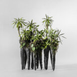 PAPER RINFOREST # 2-6